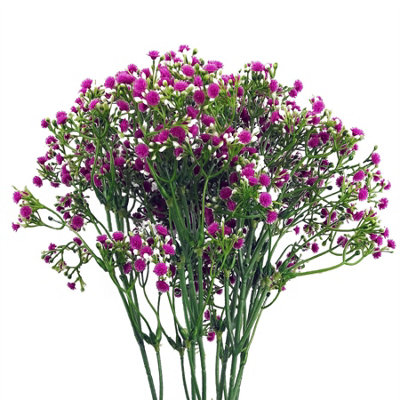 Leaf Pack Of 6 X 55Cm Gypsophila Pink Stem - Image 7
