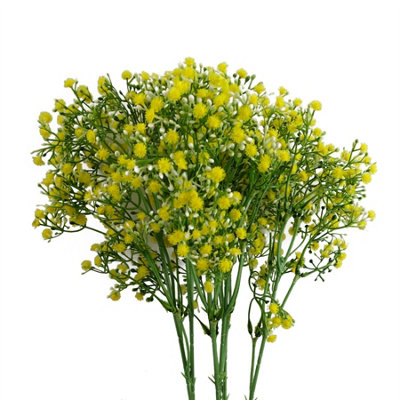 Leaf Yellow Gypsophila Artificial Stem 55cm 6 Pack - Image 7
