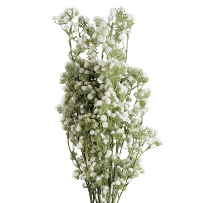 Pack of 6 Artificial Gypsophila White Stems 85cm Baby's Breath Flowers - Image 8