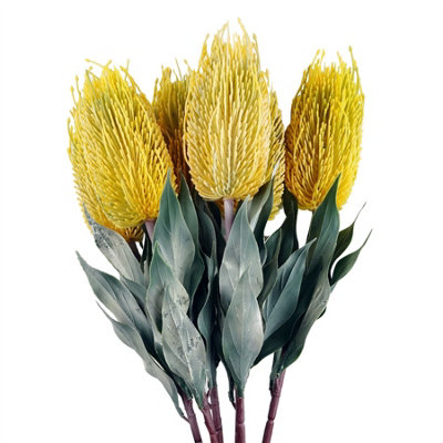 Leaf Unisex Yellow Pack Of 6 X 75Cm Banksia Menziesii Flower Stem Artificial | Size: 6 X 75 Cm - Image 7