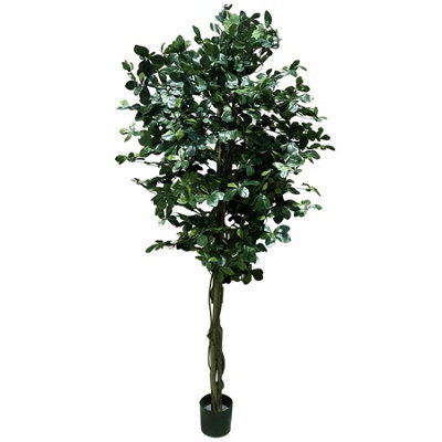 B&Q -  180Cm Fire Retardant Black Olive Tree With 2925 Leaves And Natural Trunk