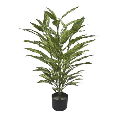 B&Q -  80Cm Fire Retardant Aglaonema Bush With 72 Leaves - Image 8