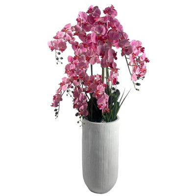 Leaf 150Cm Artificial Pink Orchid Potted Display Artificial from B&Q