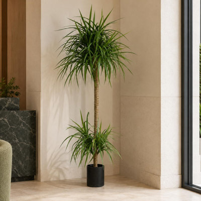 Leaf Unisex Green Dracaena Realistic Artificial Tree In 180Cm - Image 8