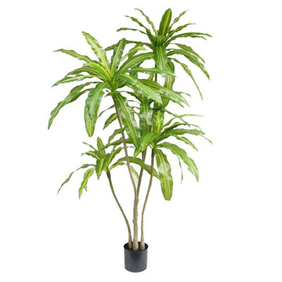 Leaf 180Cm Striped Dracaena Realistic Artificial Tree from B&Q