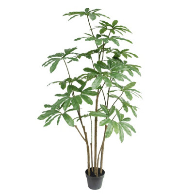 Leaf Black Dwarf Umbrella Realistic Artificial Tree 150Cm