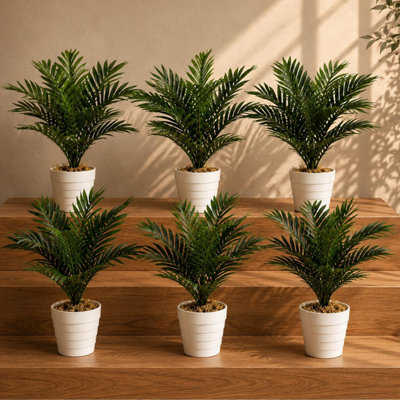 Leaf Unisex Green Pack Of 6 X 50Cm Artificial Mini Palm Tree In | : Size 6 X 50 Cm - Image 8