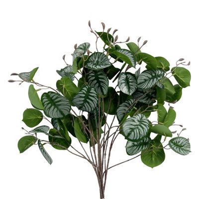 B&Q -  Pack Of 6 X 70Cm Artificial Zebra Foliage
