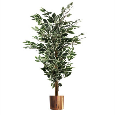 Artificial Ficus Tree Plant White Edge Bushy 130Cm Plants Leaf Copper Metal Planter from B&Q