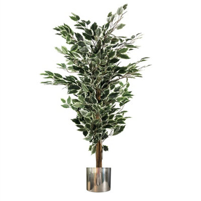 Artificial Ficus Tree Plant White Edge Bushy 130Cm Plants Leaf Silver Metal Planter from B&Q