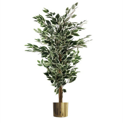 Artificial Ficus Tree Plant White Edge Bushy 130Cm Plants Leaf Gold Metal Planter from B&Q