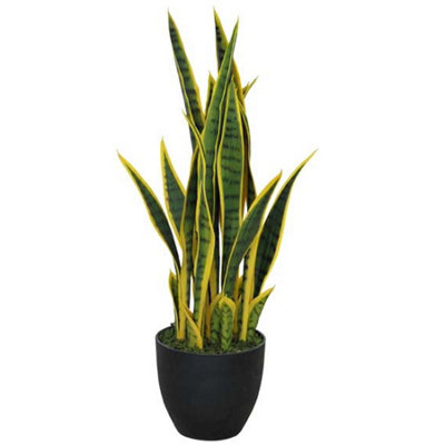 Leaf 70Cm Artificial Sansevieria With Pot from B&Q