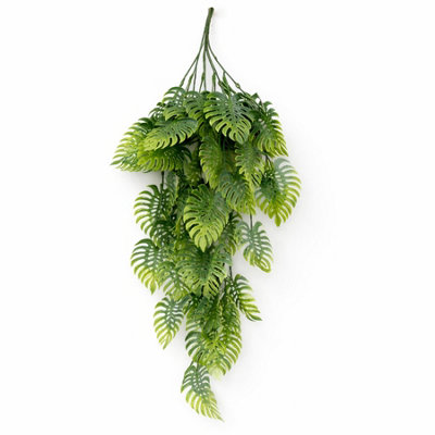 B&Q -  80Cm Trailing Tropical Monstera PlantSage Green