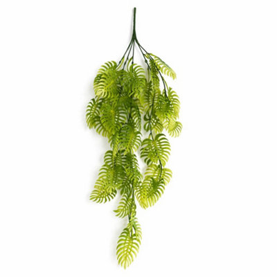 B&Q -  80Cm Trailing Tropical Monstera PlantLight Green