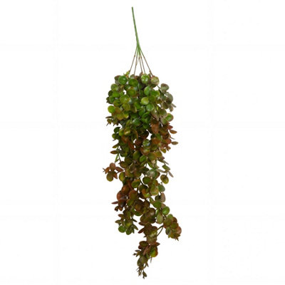 75Cm Artificial Trailing Round Leaf Hanging Foliage PlantAutumn Green & Bronze