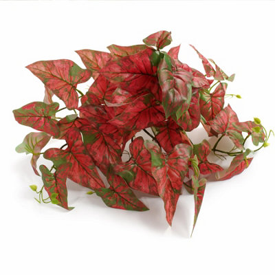 B&Q -  30Cm Artificial Trailing Red Caladium