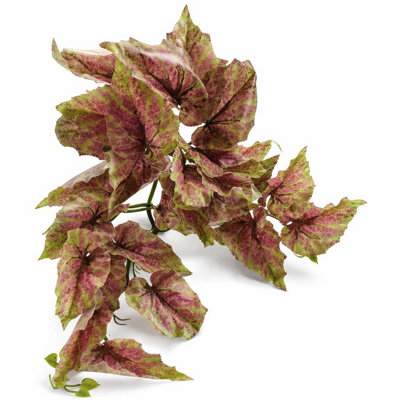 B&Q -  30Cm Artificial Trailing Pink And Green Caladium