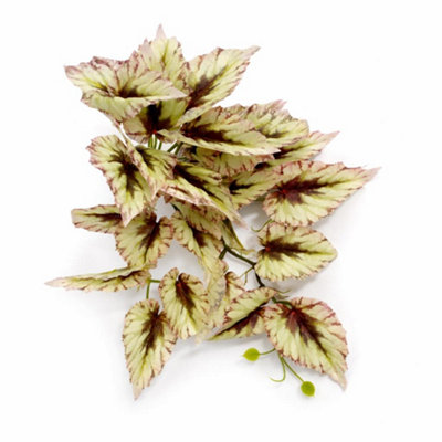 B&Q -  30Cm Artificial Trailing Cream And Pink Caladium