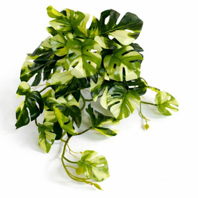 Leaf 25Cm Artificial Trailing Variegated Monstera Vine Plant from B&Q
