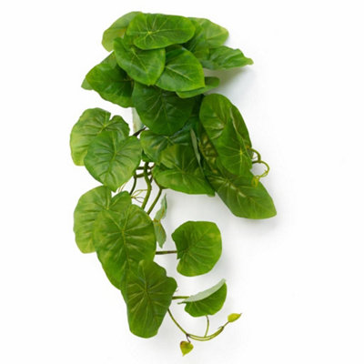 Leaf 25Cm Artificial Trailing Arrowhead Vine Plant from B&Q