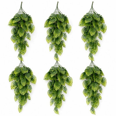 B&Q -  Pack Of 6 X 80Cm Trailing Tropical Monstera PlantSage Green