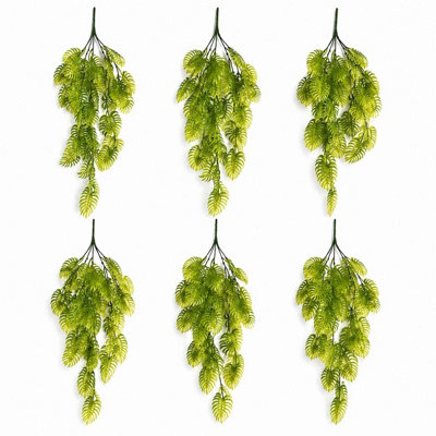 B&Q -  Pack Of 6 X 80Cm Trailing Tropical Monstera PlantLight Green