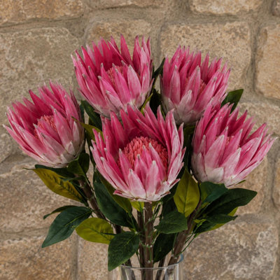 Botanik 65Cm Pack Of 6 Artificial Protea Sugarbush Flower Stems Pink - Pink Flower Stems - Image 3