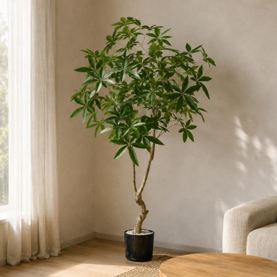 B&Q -  180Cm Artificial Money Tree Pachira Realistic Faux Tree Premium