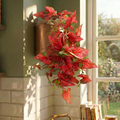 B&Q -  30Cm Artificial Trailing Red Caladium Premium