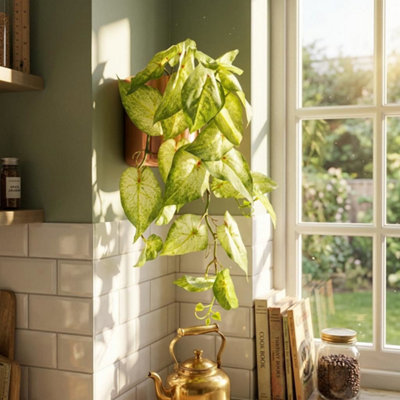 Leaf Artificial 25Cm Trailing Variegated Caladium Vine Plant Light Green from B&Q