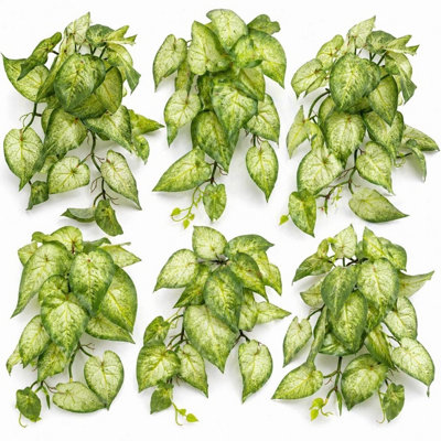 Leaf Artificial Pack Of 6 X 25Cm Variegated Caladium Vine Plant Light Green from B&Q