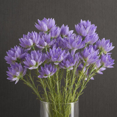 B&Q -  Pack Of 6 X 60Cm Purple Starflower Stem30 Flowers
