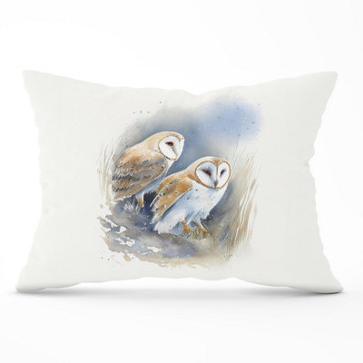 Warren Reed Designer Barn Ano Owls Watercolour Cushions 33Cm X 48Cm from B&Q
