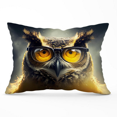 Warren Reed Designer Owl Splashart Cushions 33Cm X 48Cm from B&Q