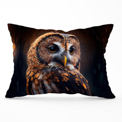 Warren Reed Designer Tawny Owl Face Splashart Dark Background Cushions 33Cm X 48Cm from B&Q