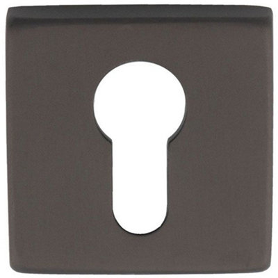 Loops Screwless Square Euro Profile EscutcheonAnthracite 50mm Door Key Plate from B&Q
