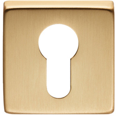 Loops Screwless Round Euro Profile EscutcheonSatin Brass 50mm Door Key Plate from B&Q