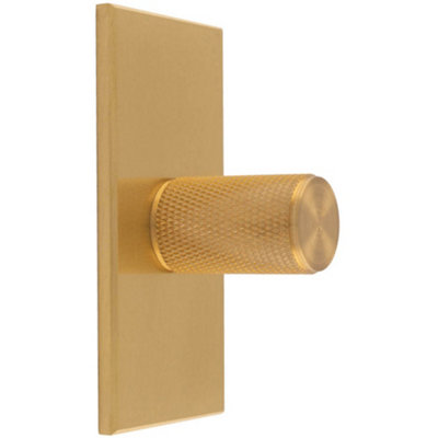 Loops Knurled Cylinder Cabinet Door Knob & Matching BackplateSatin Brass 76 X 40mm from B&Q