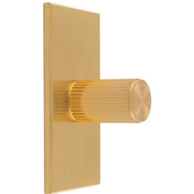 Loops Reeded Cylinder Cabinet Door Knob & Matching BackplateSatin Brass 76 X 40mm from B&Q