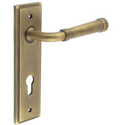 B&Q -  Elegant Satin Brass Euro Backplate Door Handle For Luxury HomesSolid Brass Interior Handle