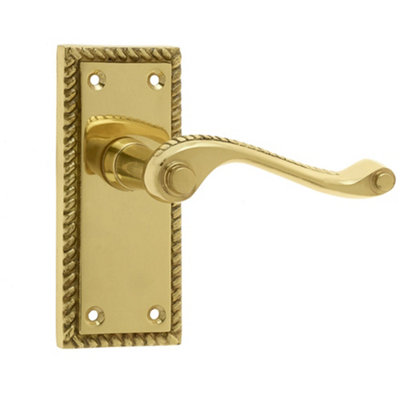 Loops Elegant Georgian Suite Door Handle With Polished Brass FinishInterior Lever On Backplate