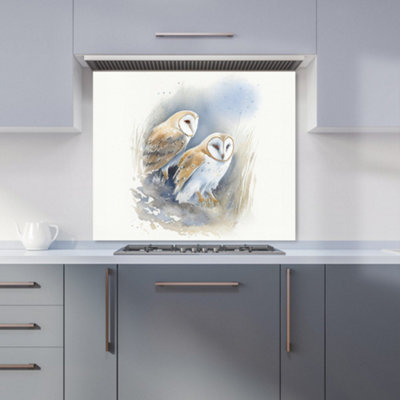 Warren Reed Designer Barn Ano Owls Watercolour Premium Glass Kitchen Splashback W900mm X H750mm from B&Q