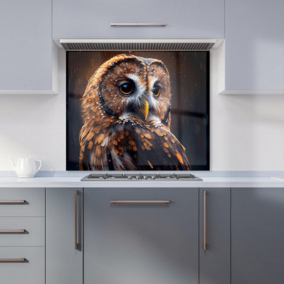 Warren Reed Designer Tawny Owl Face Splashart Dark Background Premium Glass Kitchen Splashback W700mm X H650mm from B&Q