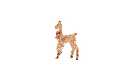 Rackhams Gold Titan Rose Doe 90Cm Lv - Image 3