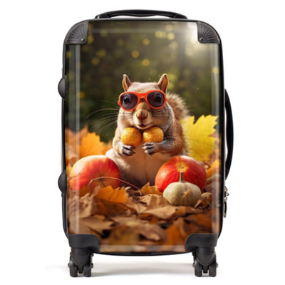 B&Q -  Nuts For Winter SuitcaseCabin