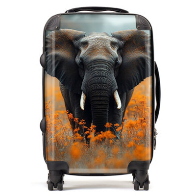 Warren Reed Designer Finn Wilder: 00002 SuitcaseCabin from B&Q