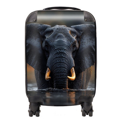 Warren Reed Designer Finn Wilder: 00008 SuitcaseSmall from B&Q