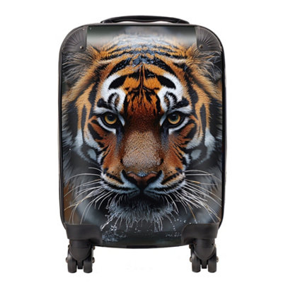 Warren Reed Designer Finn Wilder: 00009 SuitcaseMini Cabin from B&Q