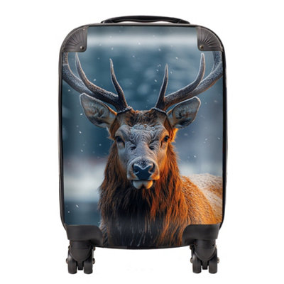 Warren Reed Designer Finn Wilder: 00013 SuitcaseSmall from B&Q