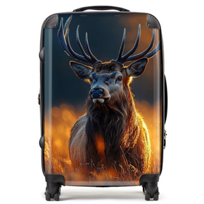 Warren Reed Designer Finn Wilder: 00014 SuitcaseMedium from B&Q